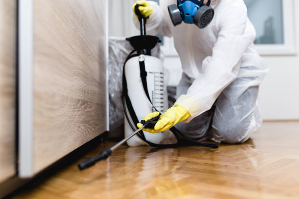 Pest Prevention Services in Frewsburg, NY