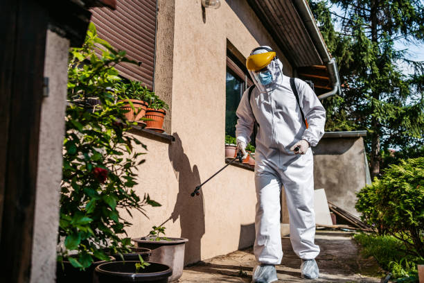 Best Rodent Control Near Me  in Frewsburg, NY