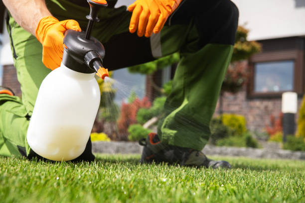 Best Pest Control for Homes  in Frewsburg, NY