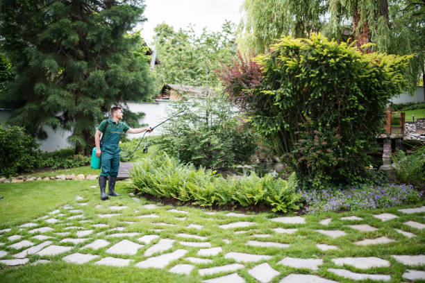 Best Local Pest Control Services  in Frewsburg, NY