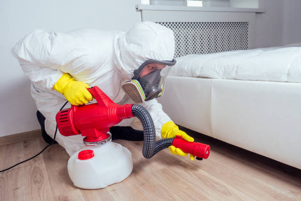 Best Best Pest Control Companies  in Frewsburg, NY
