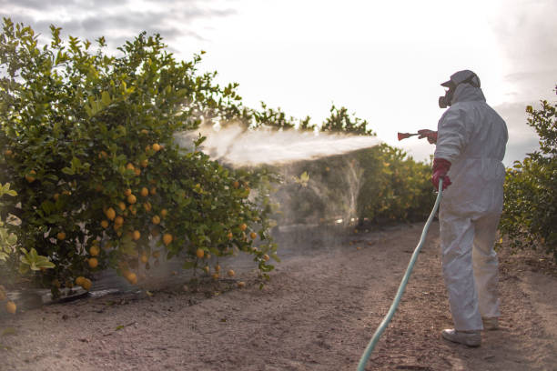 Best Pest Prevention Services  in Frewsburg, NY