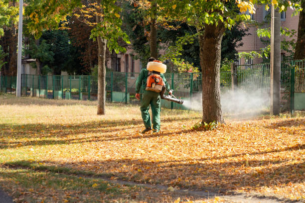 Best Cockroach Control Services  in Frewsburg, NY