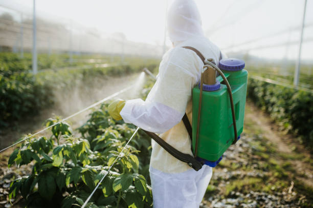 Best Affordable Pest Control Services  in Frewsburg, NY